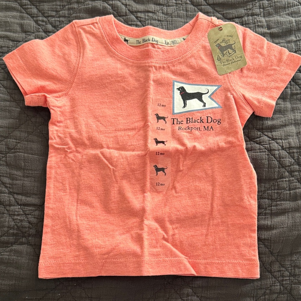 The Black Dog Baby T - Coral Heather